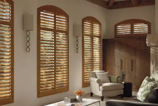 Window Shutter (2)