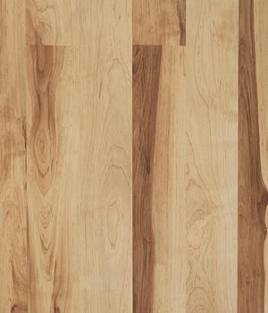 Maple